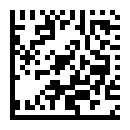 Large Letter Data Matrix